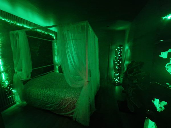 Nuitée + chambre Tropicale - Le Gaïa – Image 14