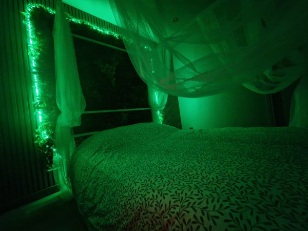 Nuitée + chambres BlackRoom et Tropicale - Le Gaïa – Image 17