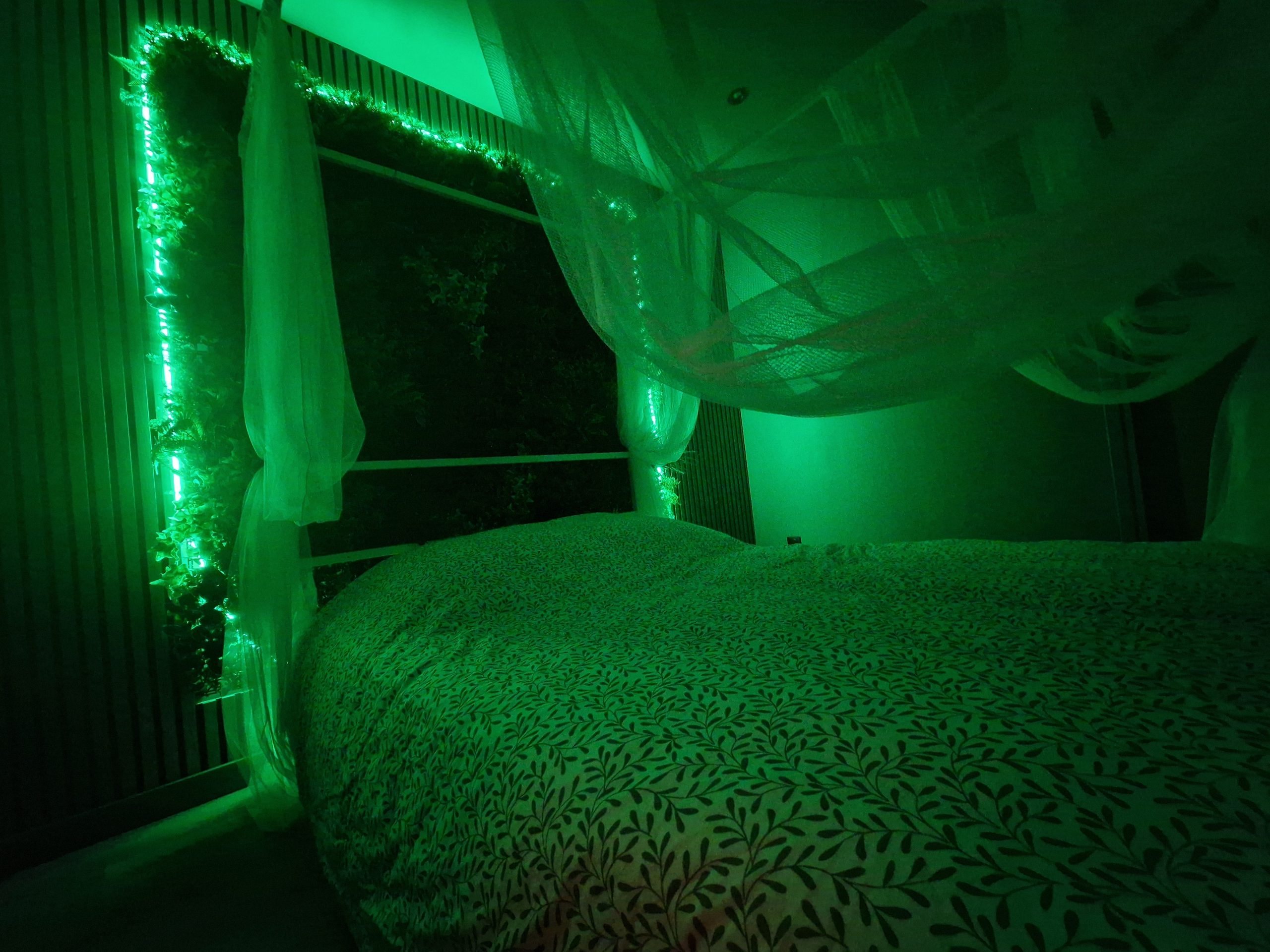 Formule 2h + chambre Tropicale - Le Gaïa