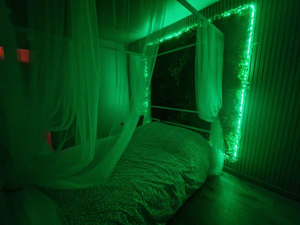 Nuitée + chambres BlackRoom et Tropicale - Le Gaïa – Image 18